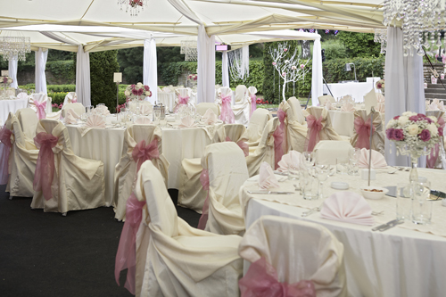  mg 9732
